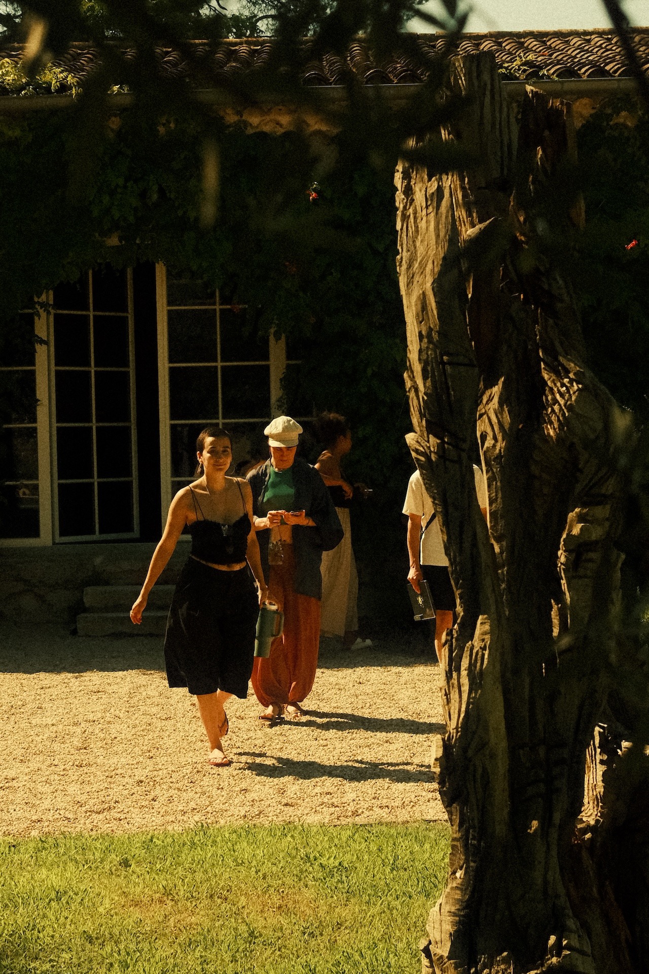 Participants talking outdoors by a tree in the evening
